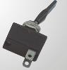 Toggle Switch Stainless ABS Toggle (Off/Momentary)